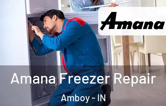  Amana Freezer Repair Amboy - IN