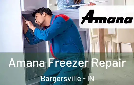  Amana Freezer Repair Bargersville - IN