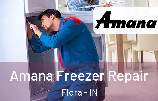  Amana Freezer Repair Flora - IN