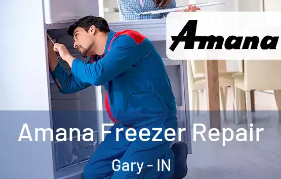  Amana Freezer Repair Gary - IN