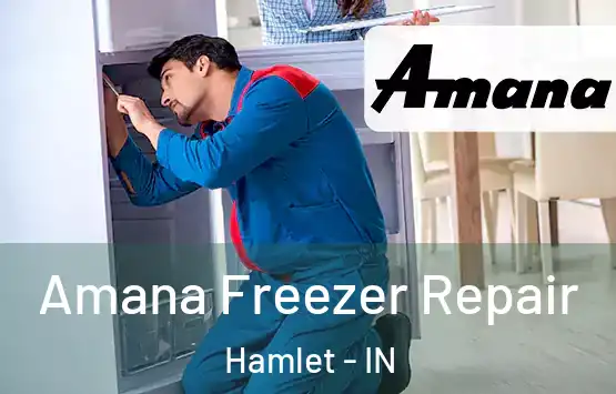  Amana Freezer Repair Hamlet - IN