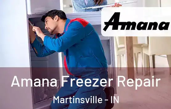  Amana Freezer Repair Martinsville - IN