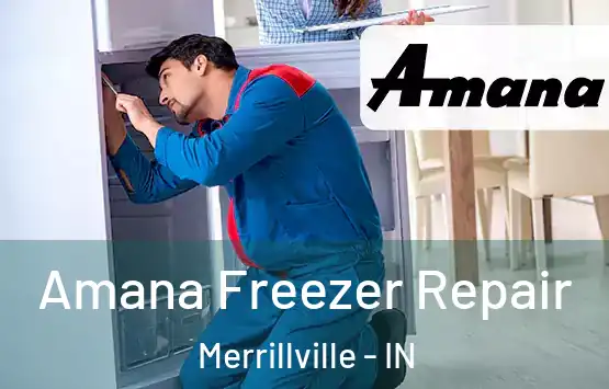  Amana Freezer Repair Merrillville - IN