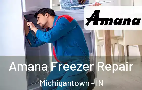  Amana Freezer Repair Michigantown - IN