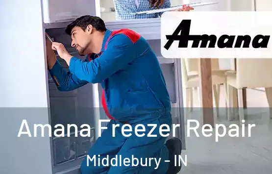  Amana Freezer Repair Middlebury - IN