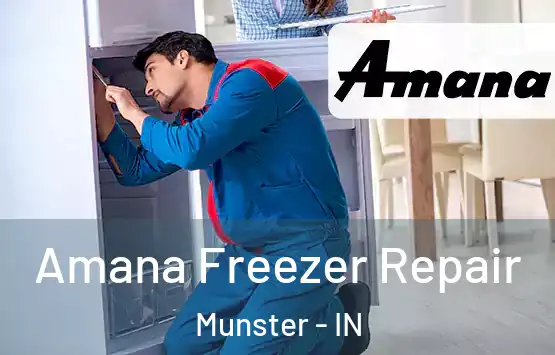  Amana Freezer Repair Munster - IN