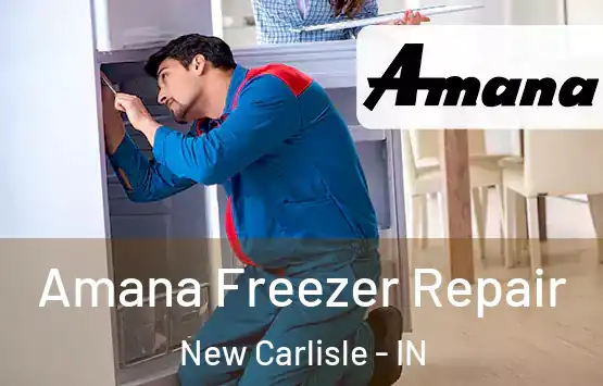  Amana Freezer Repair New Carlisle - IN