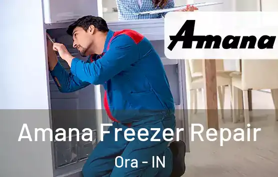  Amana Freezer Repair Ora - IN