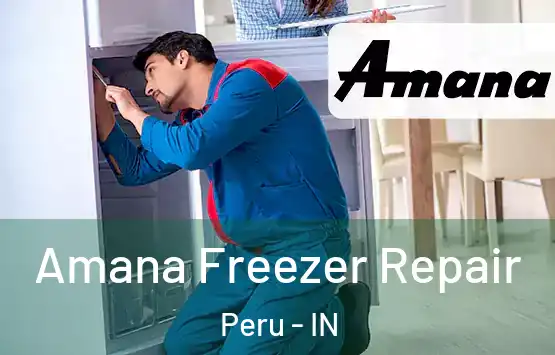  Amana Freezer Repair Peru - IN