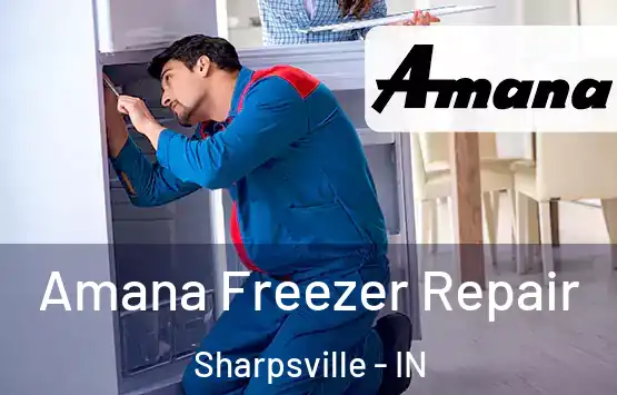  Amana Freezer Repair Sharpsville - IN
