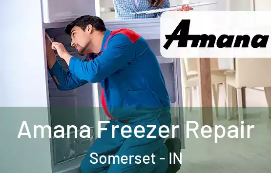  Amana Freezer Repair Somerset - IN