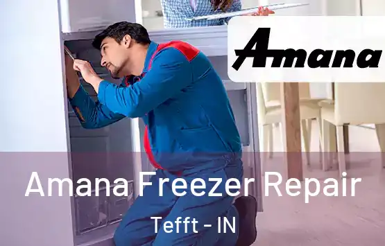  Amana Freezer Repair Tefft - IN