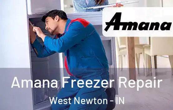  Amana Freezer Repair West Newton - IN