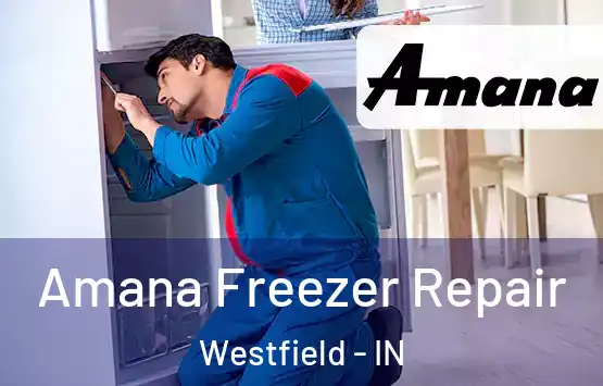  Amana Freezer Repair Westfield - IN