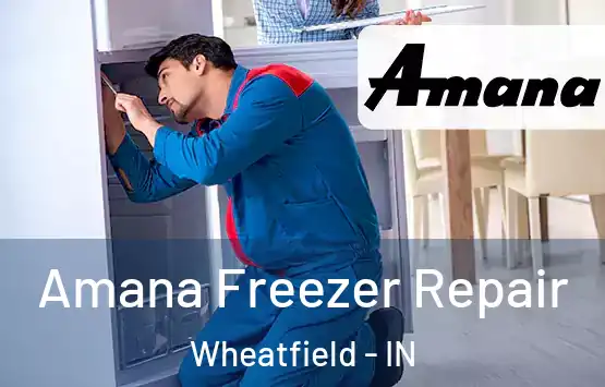  Amana Freezer Repair Wheatfield - IN
