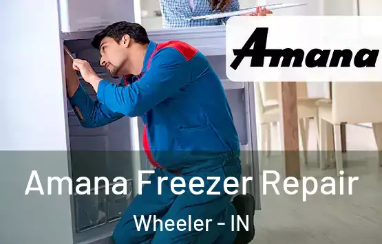  Amana Freezer Repair Wheeler - IN