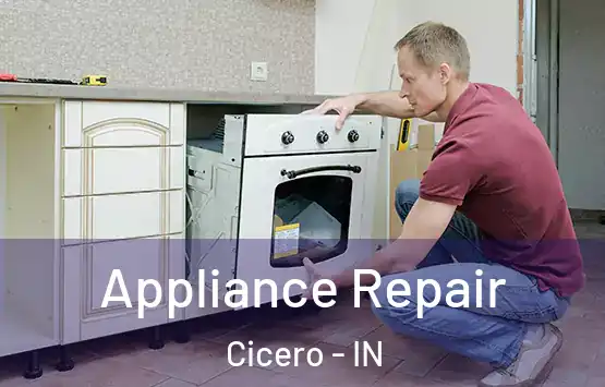  Appliance Repair Cicero - IN