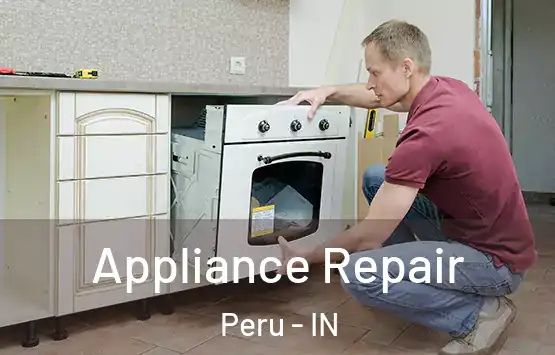 Appliance Repair Peru - IN