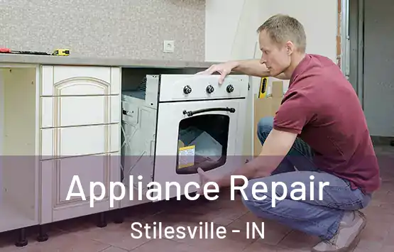  Appliance Repair Stilesville - IN
