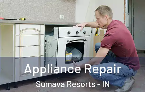  Appliance Repair Sumava Resorts - IN