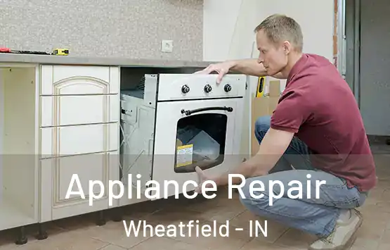  Appliance Repair Wheatfield - IN