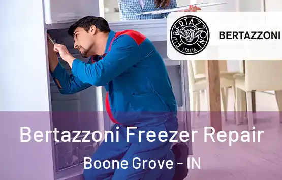  Bertazzoni Freezer Repair Boone Grove - IN