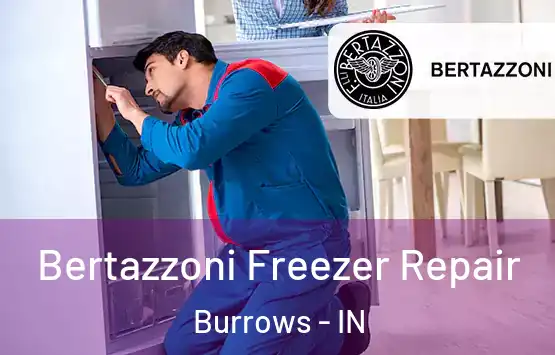  Bertazzoni Freezer Repair Burrows - IN