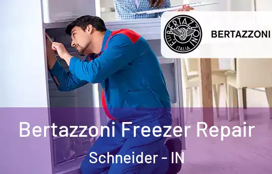  Bertazzoni Freezer Repair Schneider - IN