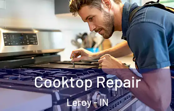  Cooktop Repair Leroy - IN