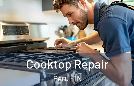  Cooktop Repair Peru - IN