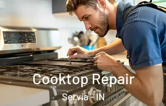  Cooktop Repair Servia - IN