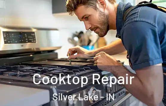  Cooktop Repair Silver Lake - IN