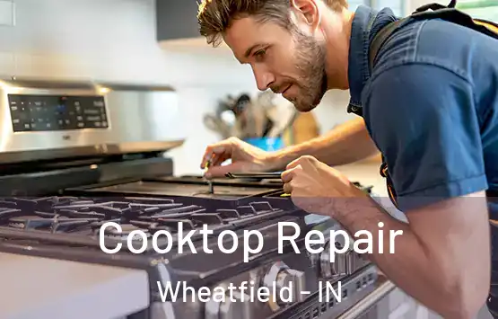  Cooktop Repair Wheatfield - IN