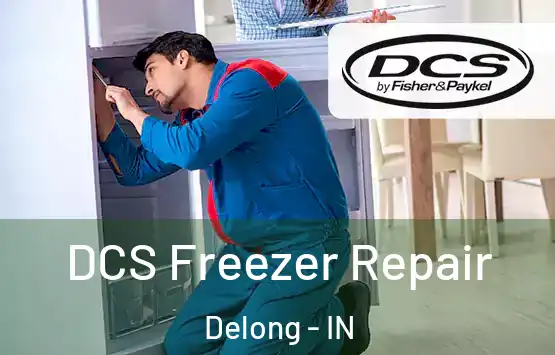  DCS Freezer Repair Delong - IN
