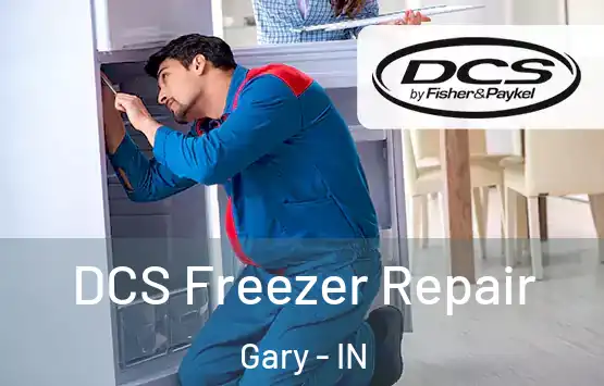  DCS Freezer Repair Gary - IN