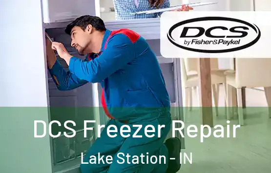  DCS Freezer Repair Lake Station - IN