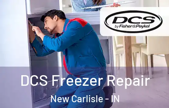  DCS Freezer Repair New Carlisle - IN
