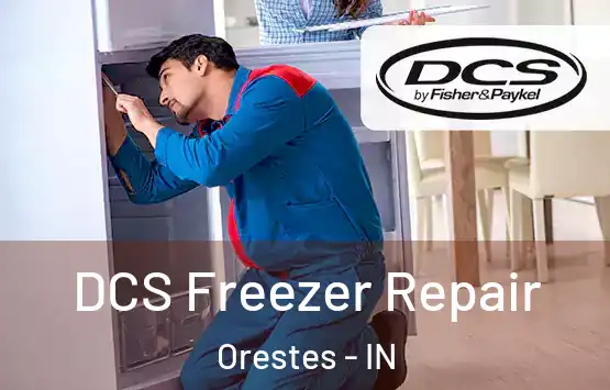  DCS Freezer Repair Orestes - IN
