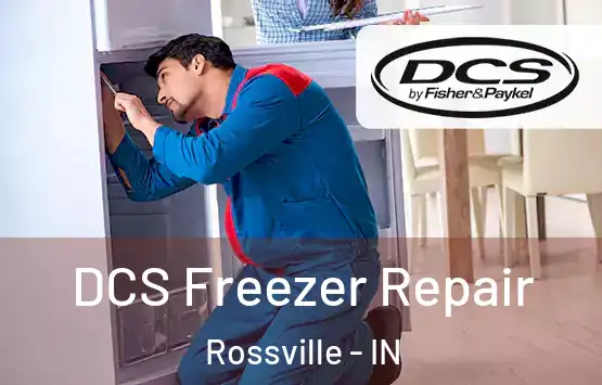  DCS Freezer Repair Rossville - IN