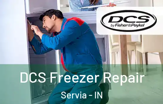  DCS Freezer Repair Servia - IN