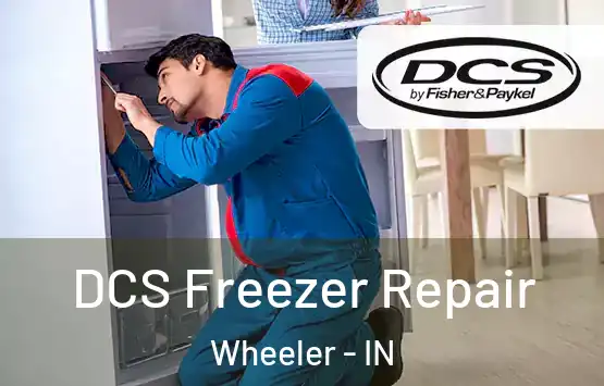  DCS Freezer Repair Wheeler - IN