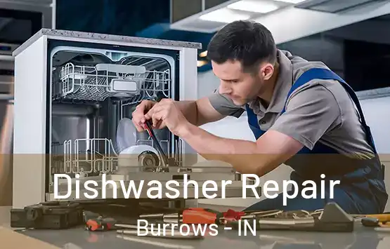  Dishwasher Repair Burrows - IN