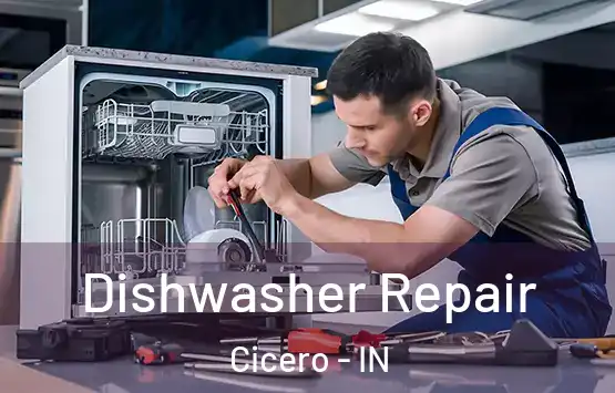 Dishwasher Repair Cicero - IN