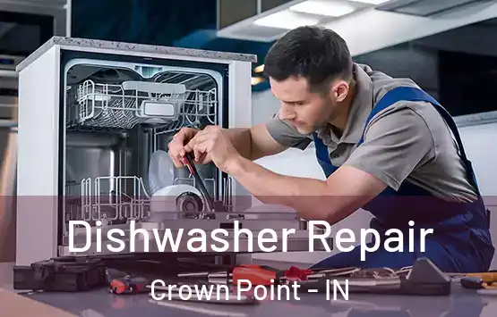  Dishwasher Repair Crown Point - IN