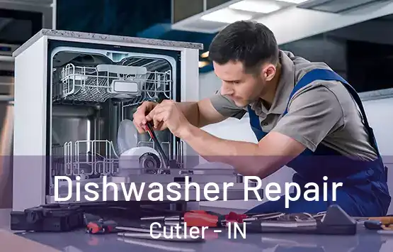  Dishwasher Repair Cutler - IN