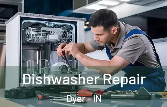  Dishwasher Repair Dyer - IN