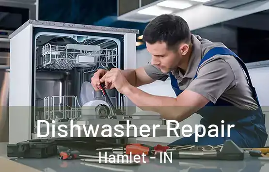  Dishwasher Repair Hamlet - IN