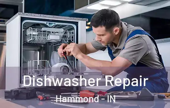  Dishwasher Repair Hammond - IN