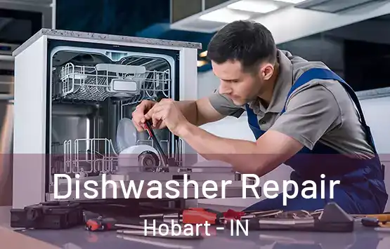  Dishwasher Repair Hobart - IN