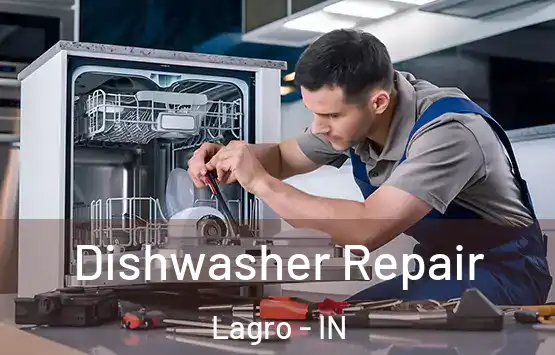  Dishwasher Repair Lagro - IN
